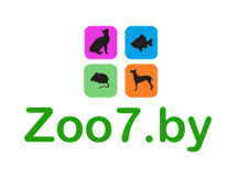 zoo7.by